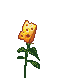 cheese plant agent preview