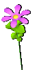 flower1lav 10