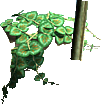 waterfallrockvine2.png