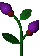 bilberry bush agent preview