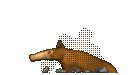 Anteater.jpg