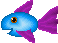 Teddy Fish.zip thumbnail image