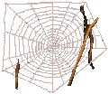 Spider and spider web remover agent's preview