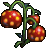 Ugly Tomatoes for C2 agent's preview