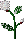 Snowflakes Plant agent's preview