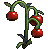 Cherry Tomato Plant.zip thumbnail image