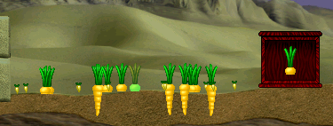 yellow-carrots1.png