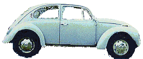 c1beetle.gif thumbnail image