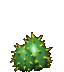 C2 Cacti (C3DS) thumbnail image