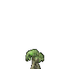 Cabern Tree.zip thumbnail image