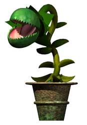 Venus Flytrap.jpeg thumbnail image