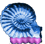 Agent Preview - Ammonite_vendor