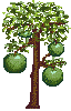 Apple Tree.zip thumbnail image