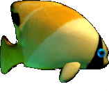 Handlefish.png thumbnail image