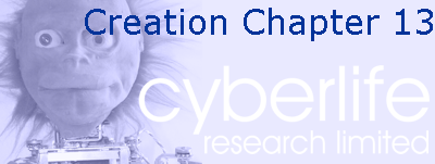 Creation Chapter 13