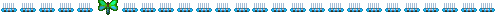 butterfly-line2