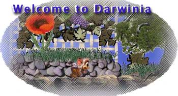 Welcome to Darwinia!