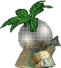 Canopy Boomba Preview  agent's preview