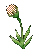 BD: Popplant agent's preview