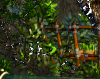 Tree house barrier three agent's preview