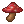 Underground Mushrooms agent's preview