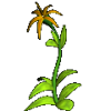 TP2DS: Solahan Plant agent's preview