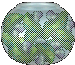 Aphrodisiac Mushrooms agent's preview