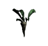 KT   Part 3: Flora agent's preview