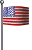 American Flag V1 agent's preview