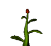 TP2DS: Berry Plant agent's preview