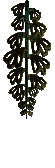 Kimbul Plant.rar thumbnail image
