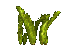 moe arctica arcticmoss water frame 7