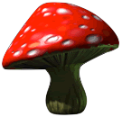 Fungi Update thumbnail image