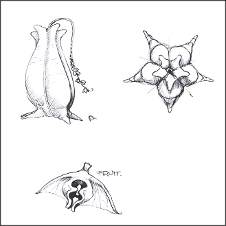 croakanuts