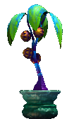 moe c4 funkyplant frame 80