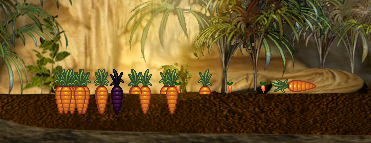 c2orange-carrots.png