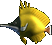 Agent Preview - BD: Longnose Fish