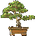 tree of health agent preview
