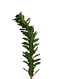 moe arctica willowstalk frame 11