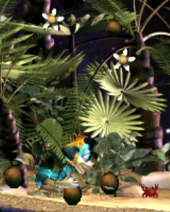 Coconots thumbnail image