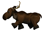C16 Preview - moe_arctica_moose[5]