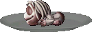 Roast Mock Ettin thumbnail image