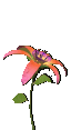 simple plants ds agent preview