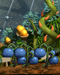 C2-Thir.png