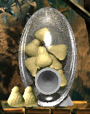 Pear Vendor.jpg