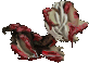 corpse vendor ds agent preview