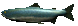 moe arctica salmon frame 8