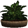 lemon pot ds agent preview