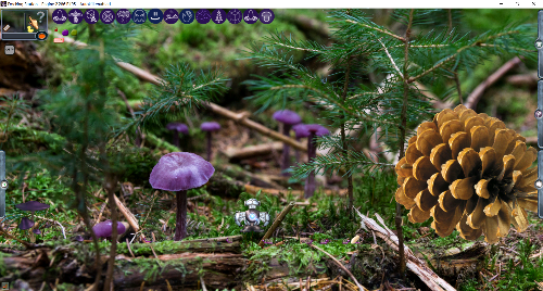 Mushroom Forest thumbnail image