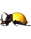 IPTI-Rhino Beetle Respawn.zip thumbnail image